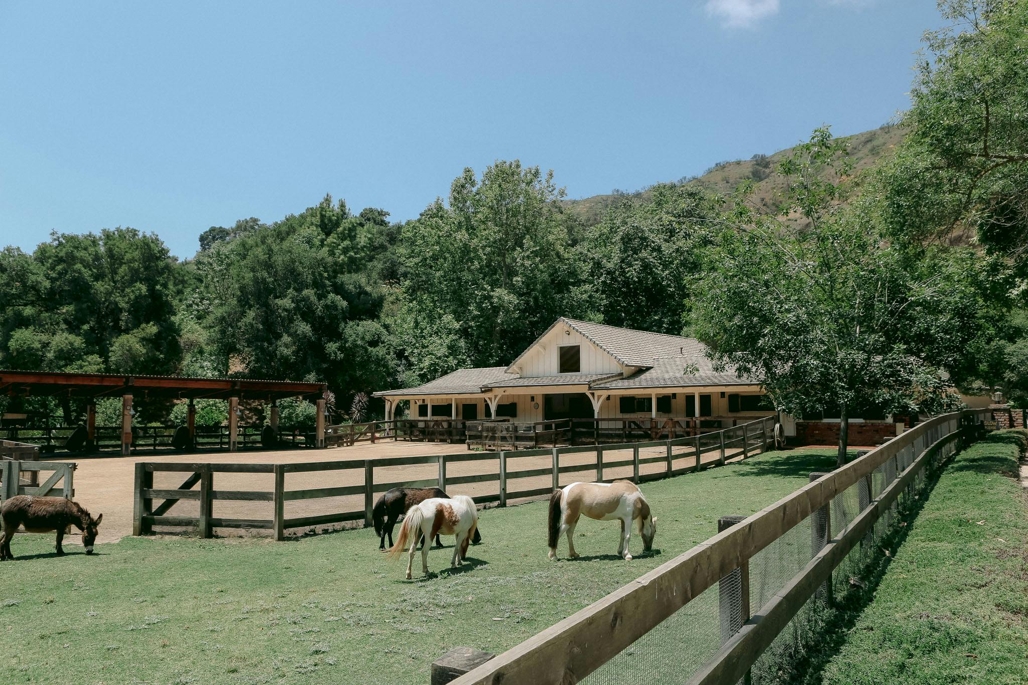 Meridith-Baer-Home-Home-Staging-Estates-Southern-California-Robert-Taylor-Ranch-Outdoor